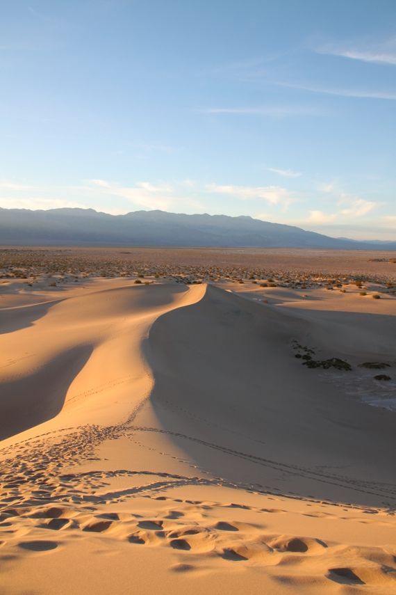 Mesquite Dunes